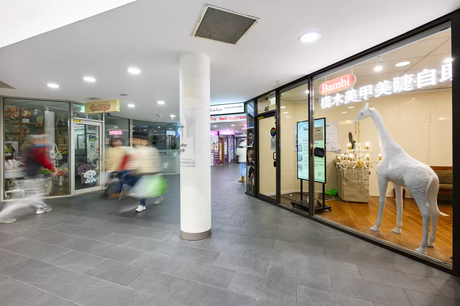 Chatswood Leased by Shead Property - image 1