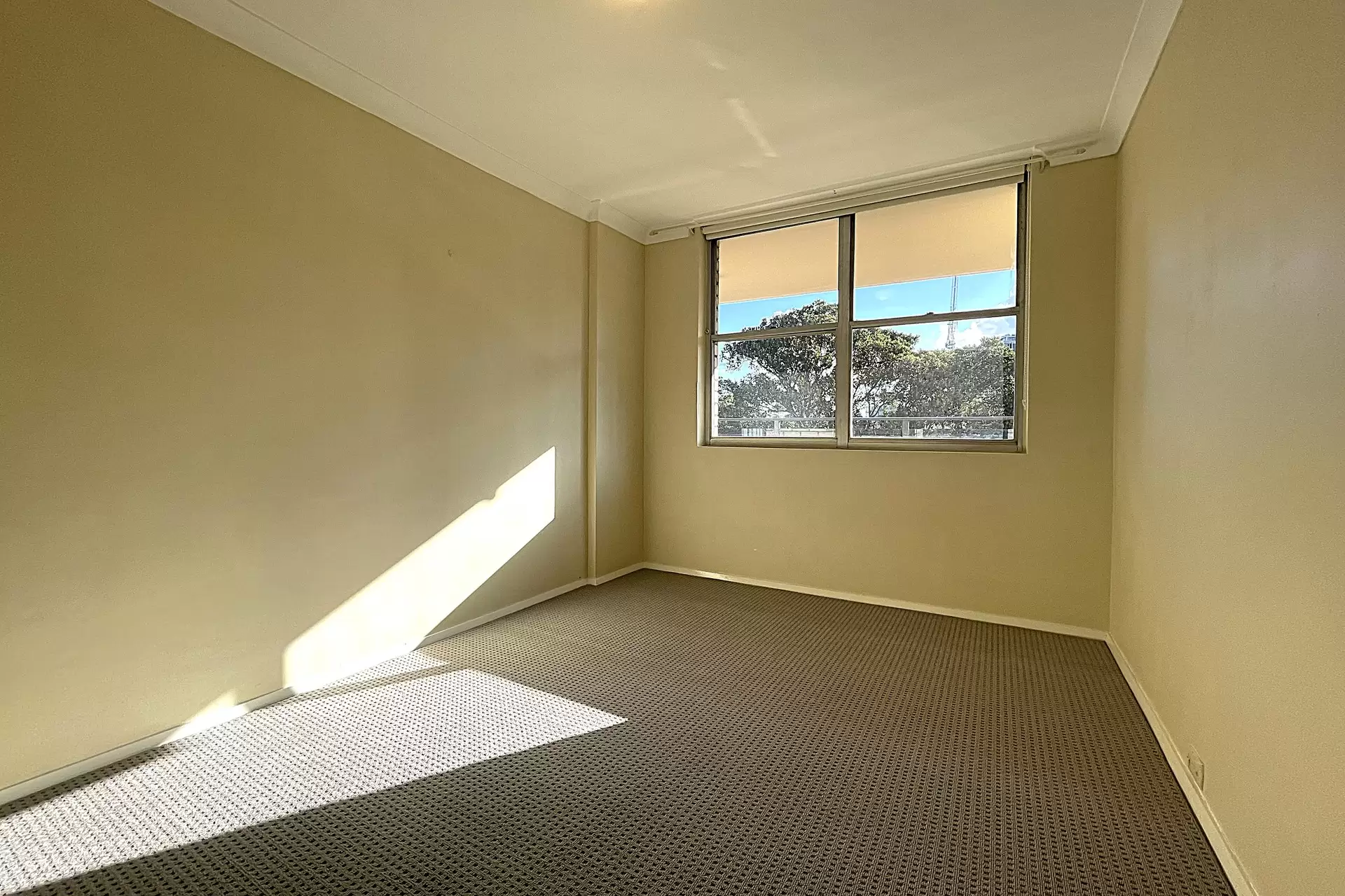 Chatswood Leased by Shead Property - image 1