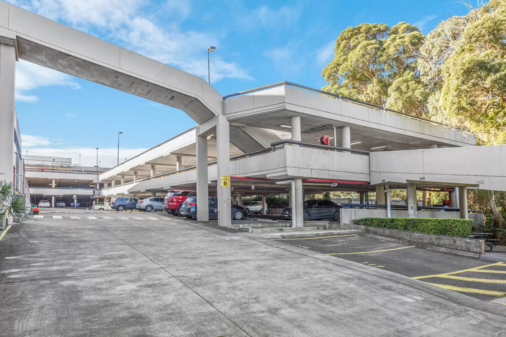 Lane Cove/16 Mars Road, Lane Cove For Lease by Shead Property - image 1