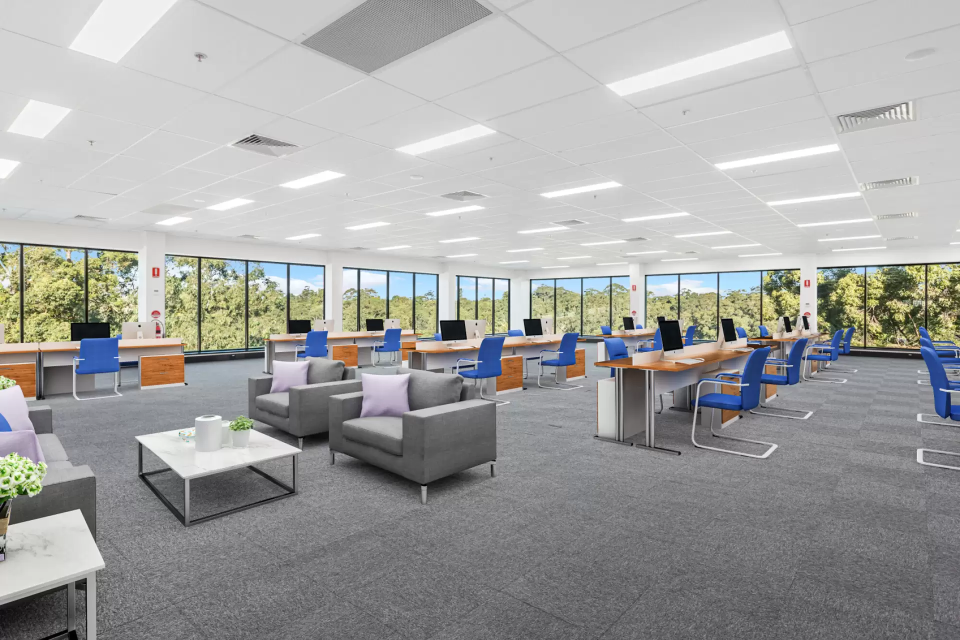 Lane Cove/16 Mars Road, Lane Cove For Lease by Shead Property - image 1