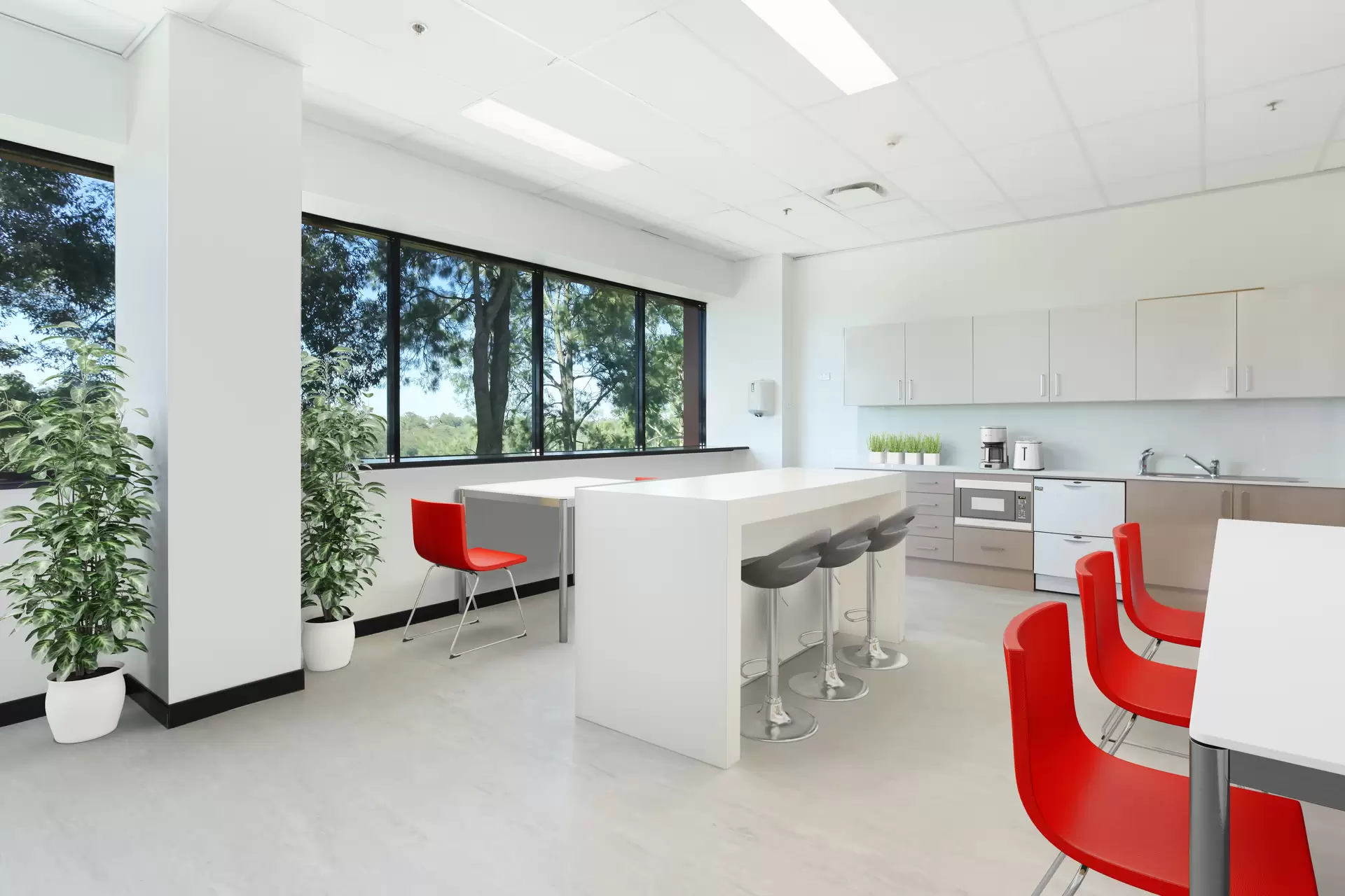 Lane Cove/16 Mars Road, Lane Cove For Lease by Shead Property - image 1