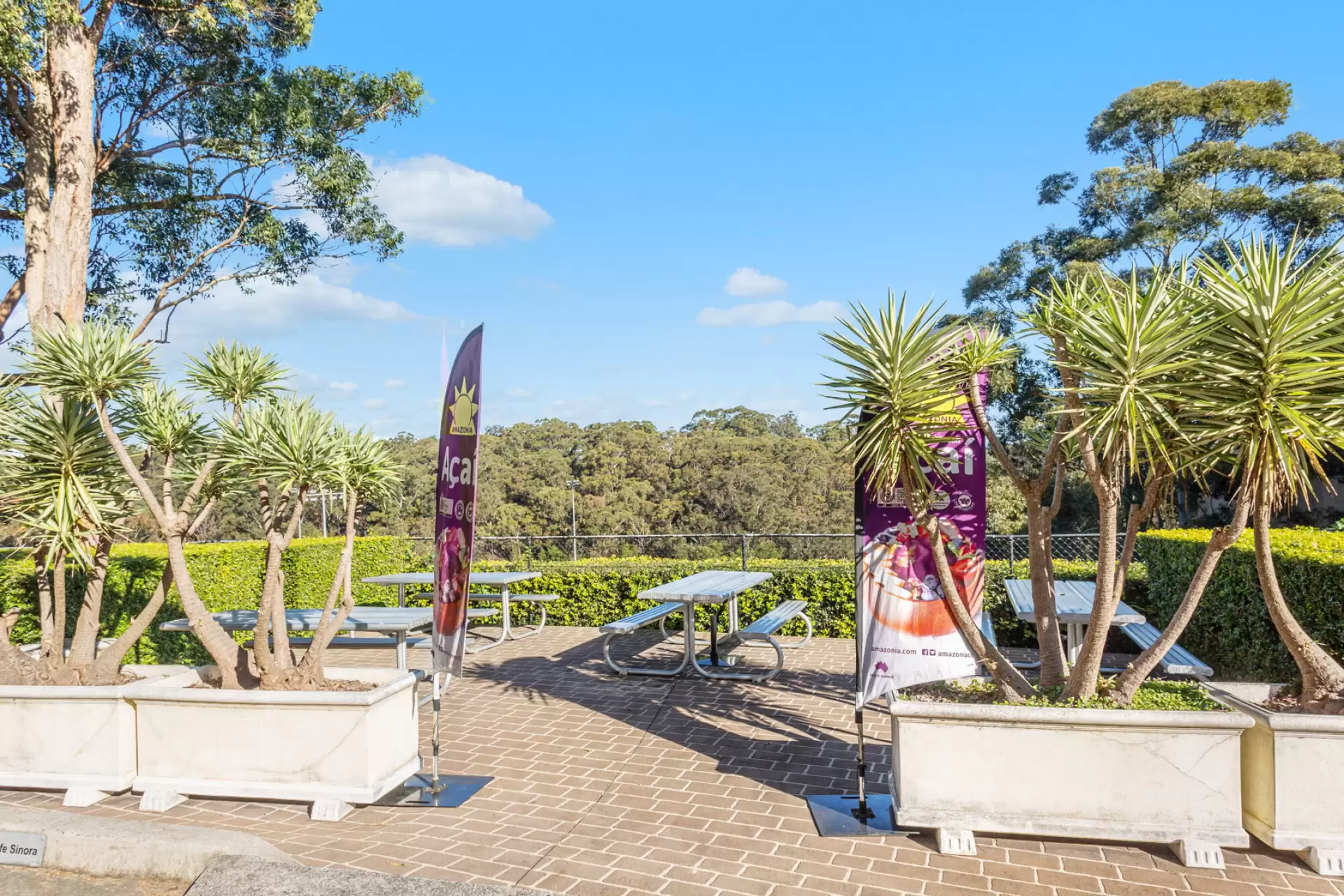 Lane Cove/16 Mars Road, Lane Cove For Lease by Shead Property - image 1