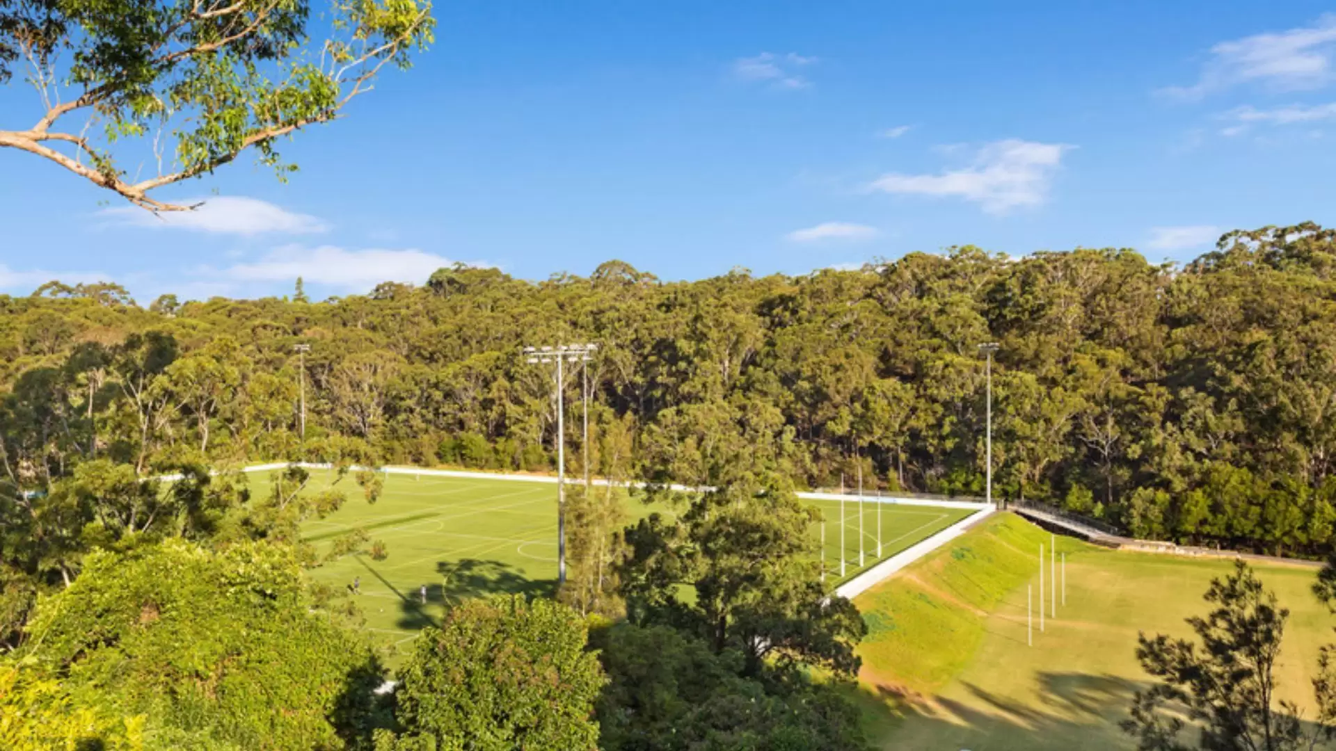 Lane Cove/16 Mars Road, Lane Cove For Lease by Shead Property - image 1