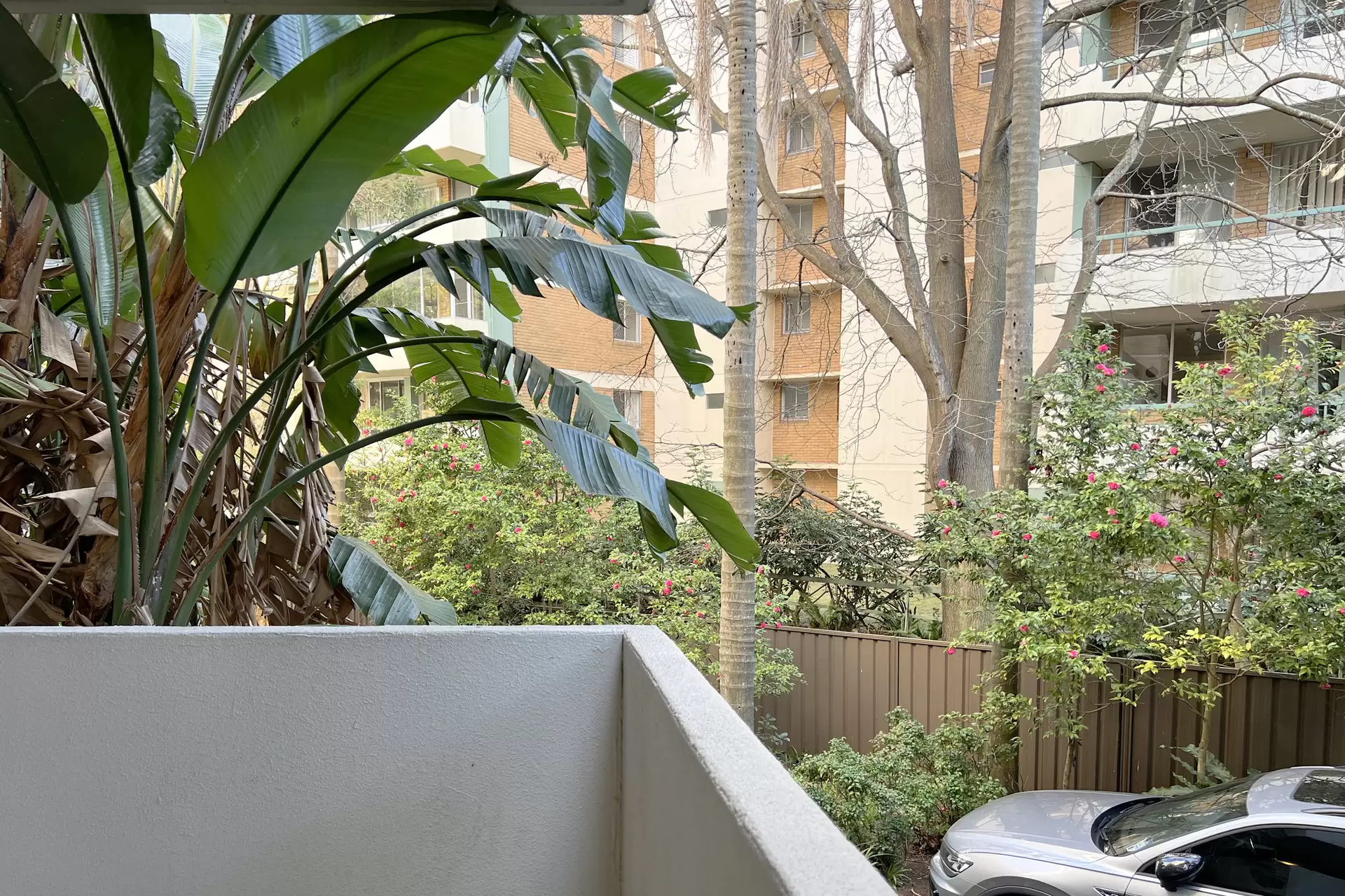 Chatswood Leased by Shead Property - image 1