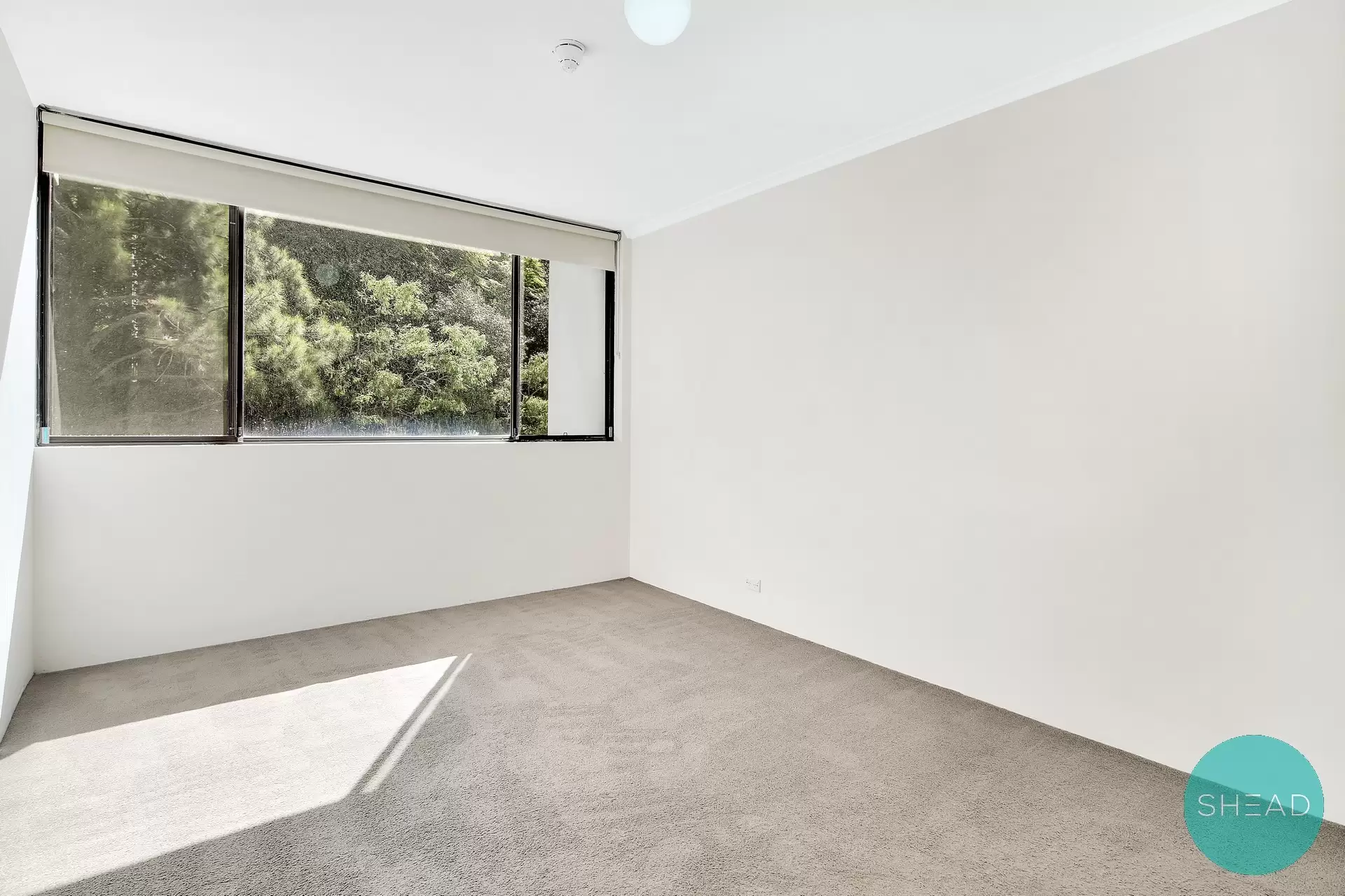 Artarmon Leased by Shead Property - image 1