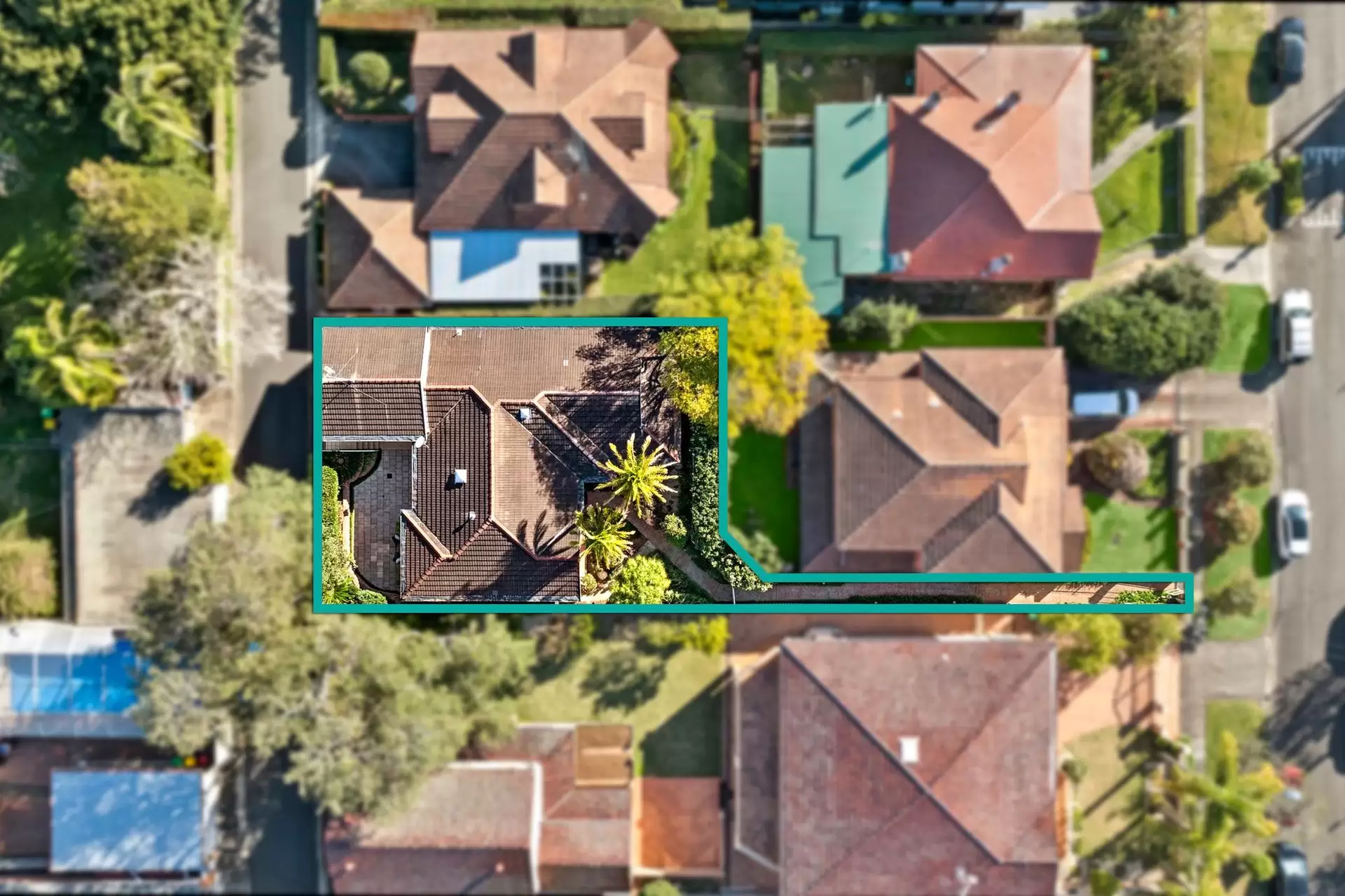 6A Waratah Street, Roseville Sold by Shead Property - image 1