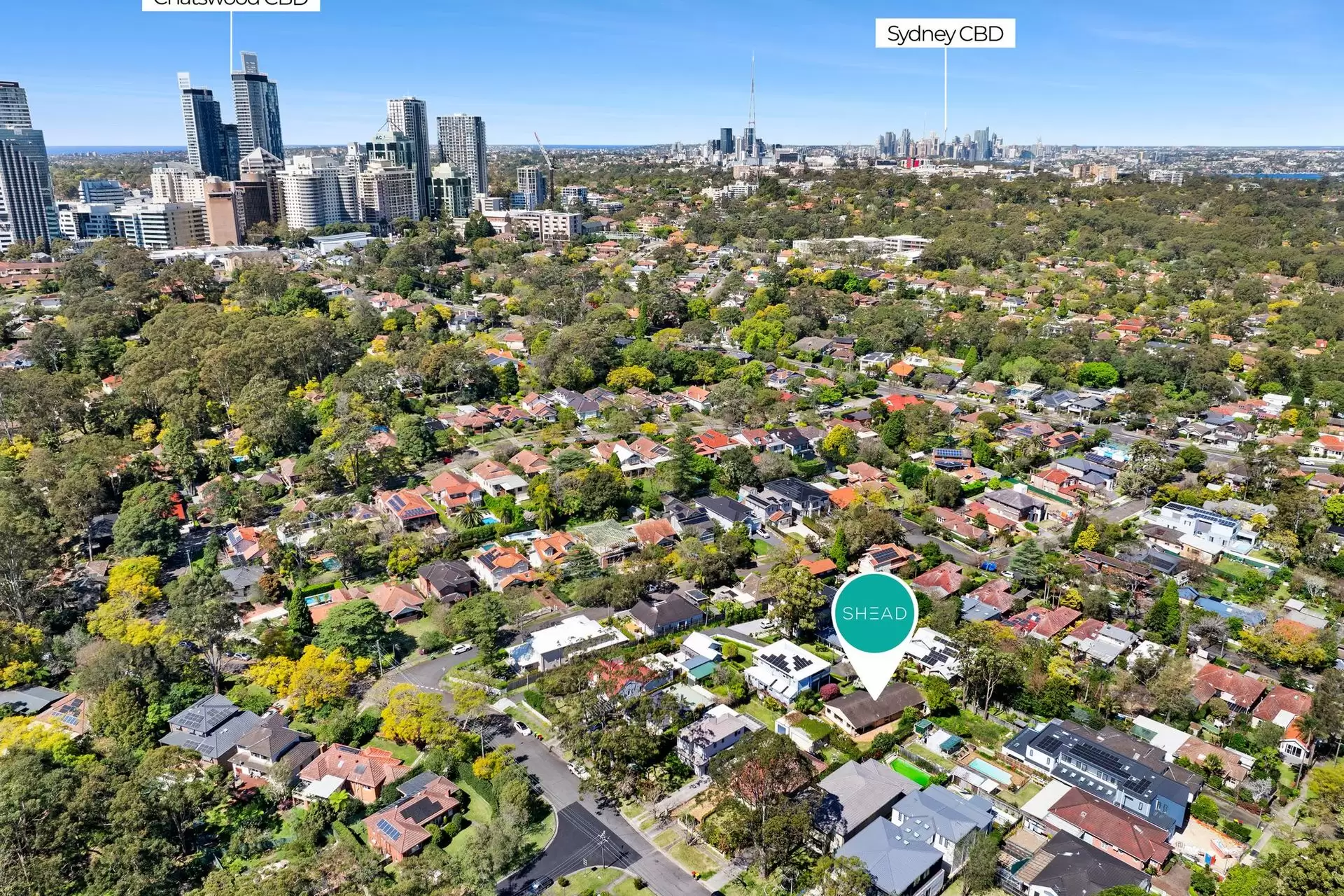 2C Kareela Road, Chatswood Sold by Shead Property - image 1