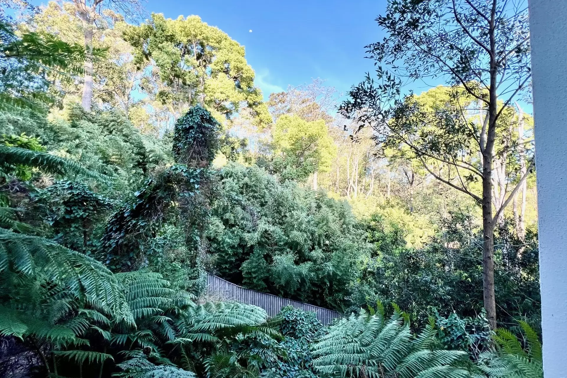 Pymble Leased by Shead Property - image 1