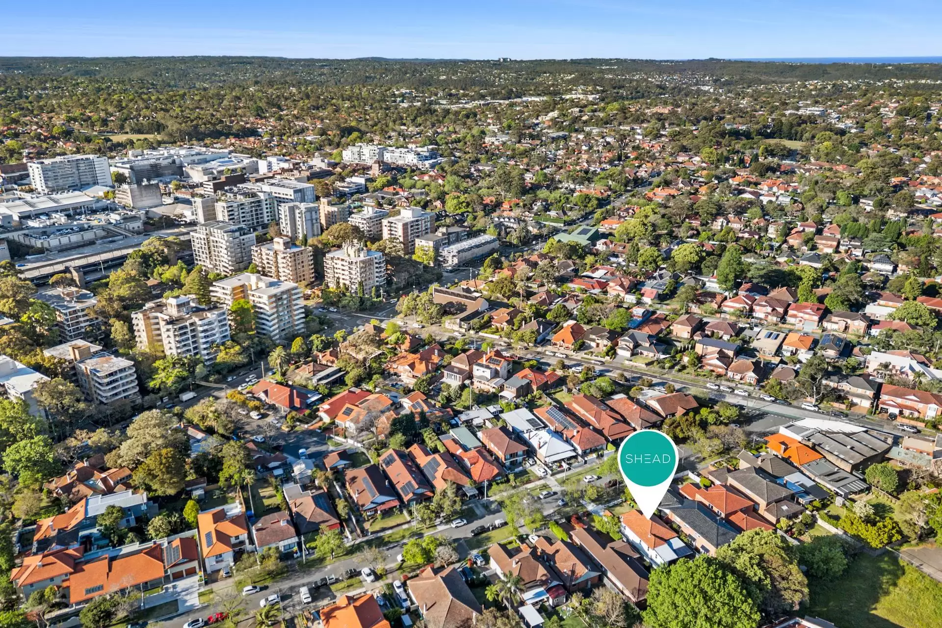 14 Saywell Street, Chatswood Sold by Shead Property - image 1