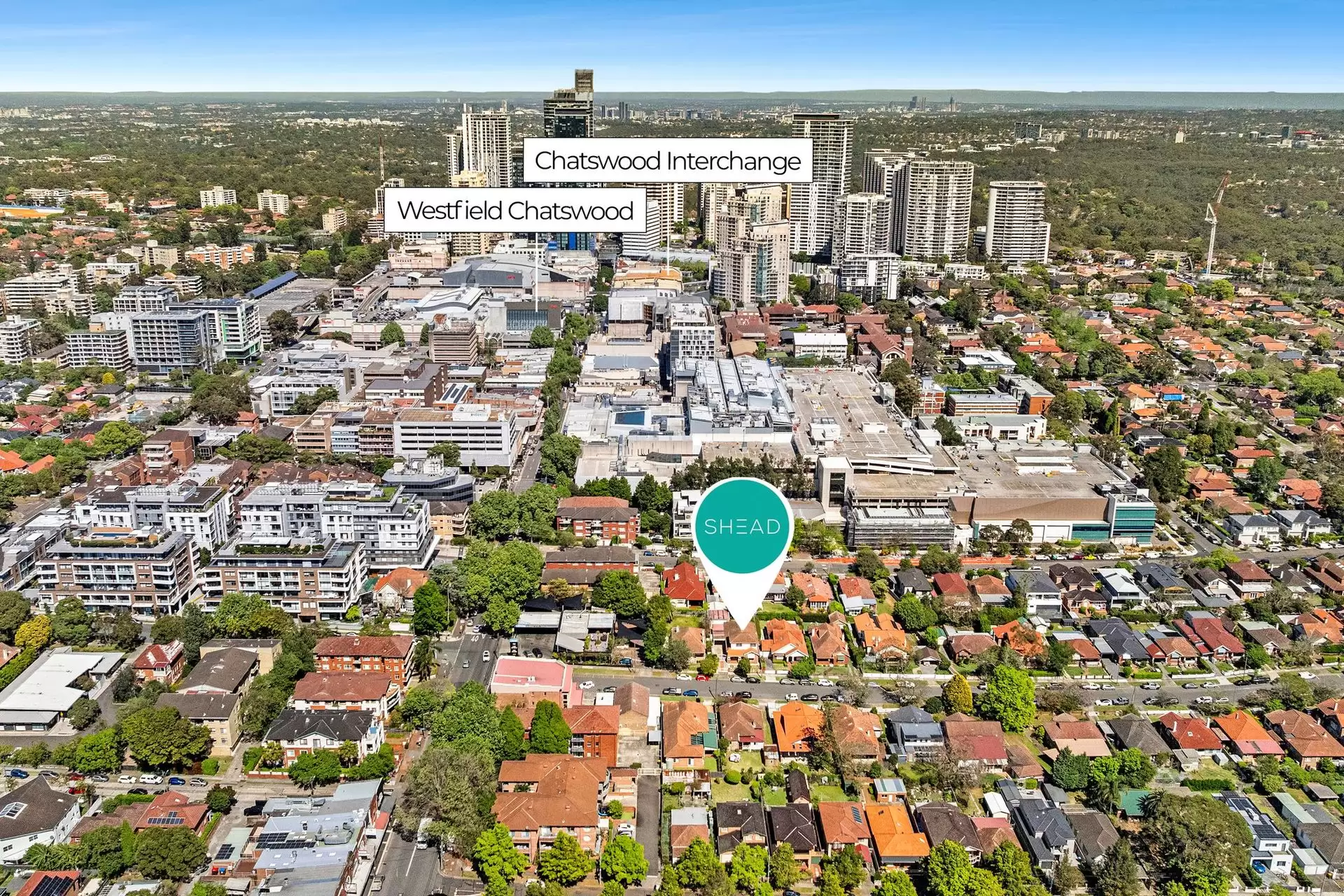 3 Blakesley Street, Chatswood Sold by Shead Property - image 1