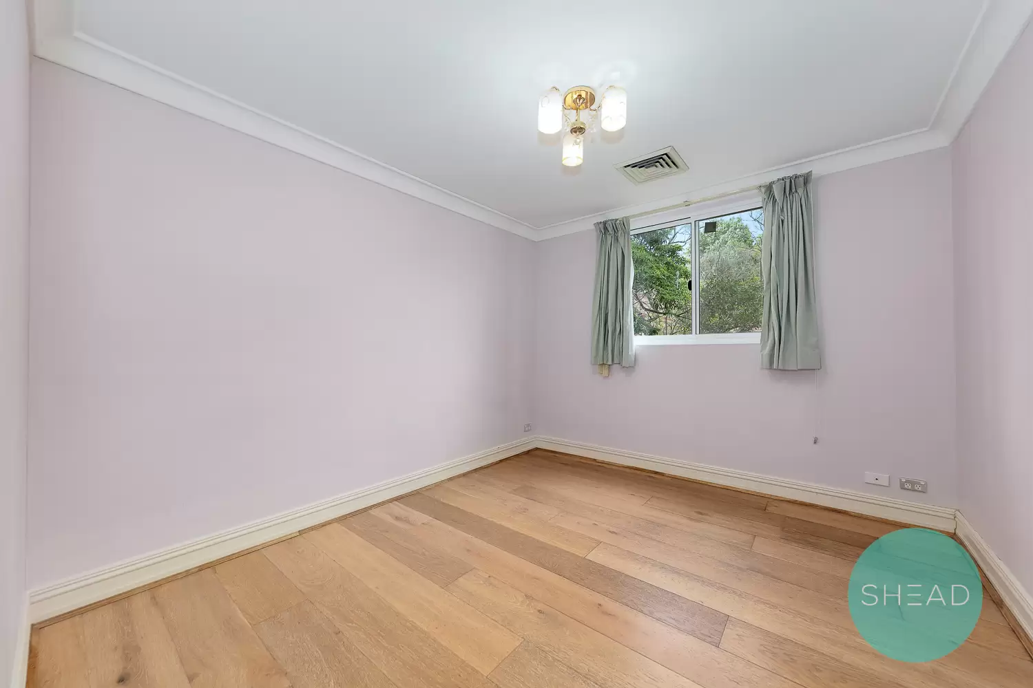 Chatswood Leased by Shead Property - image 1