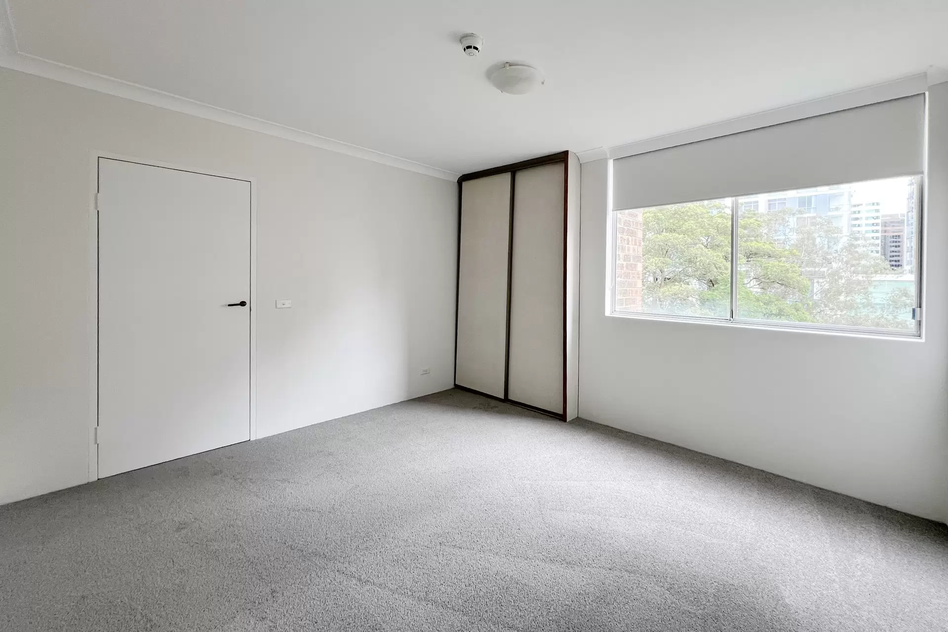 Chatswood Leased by Shead Property - image 1
