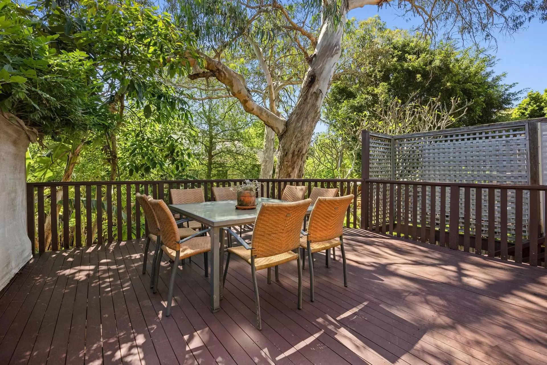 526 Willoughby Road, Willoughby Sold by Shead Property - image 1