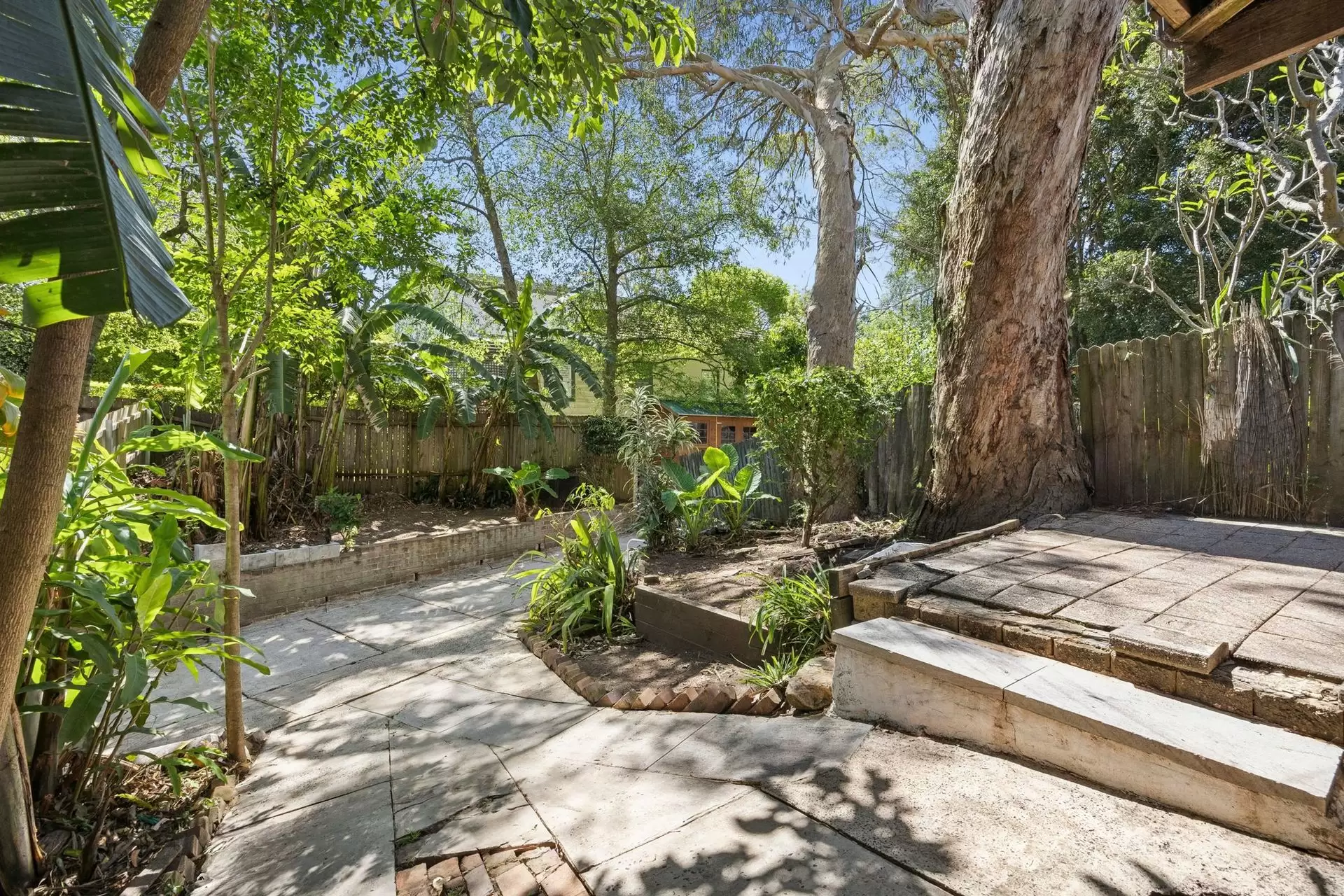 526 Willoughby Road, Willoughby Sold by Shead Property - image 1