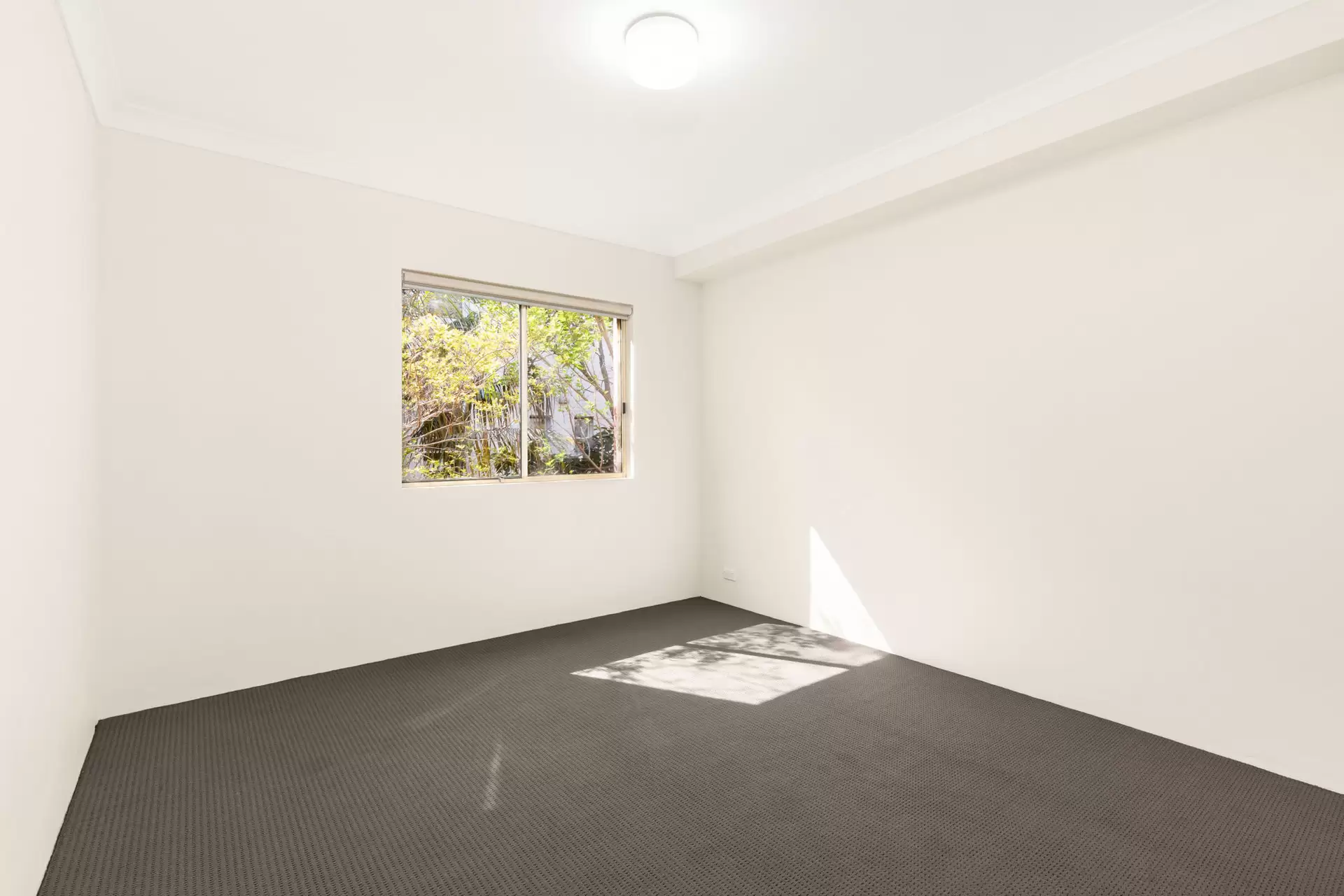 Artarmon Leased by Shead Property - image 1