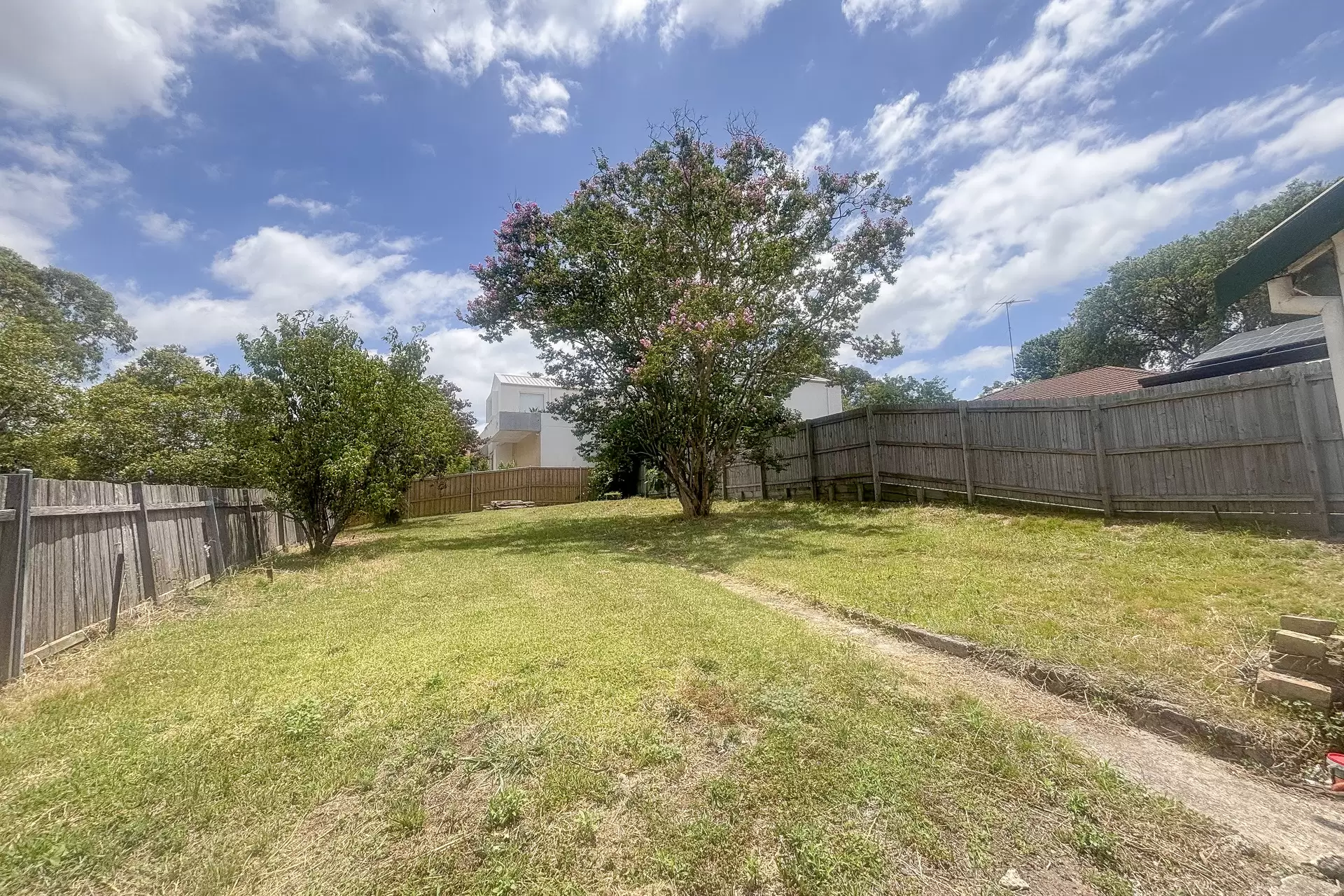 Gladesville Leased by Shead Property - image 1