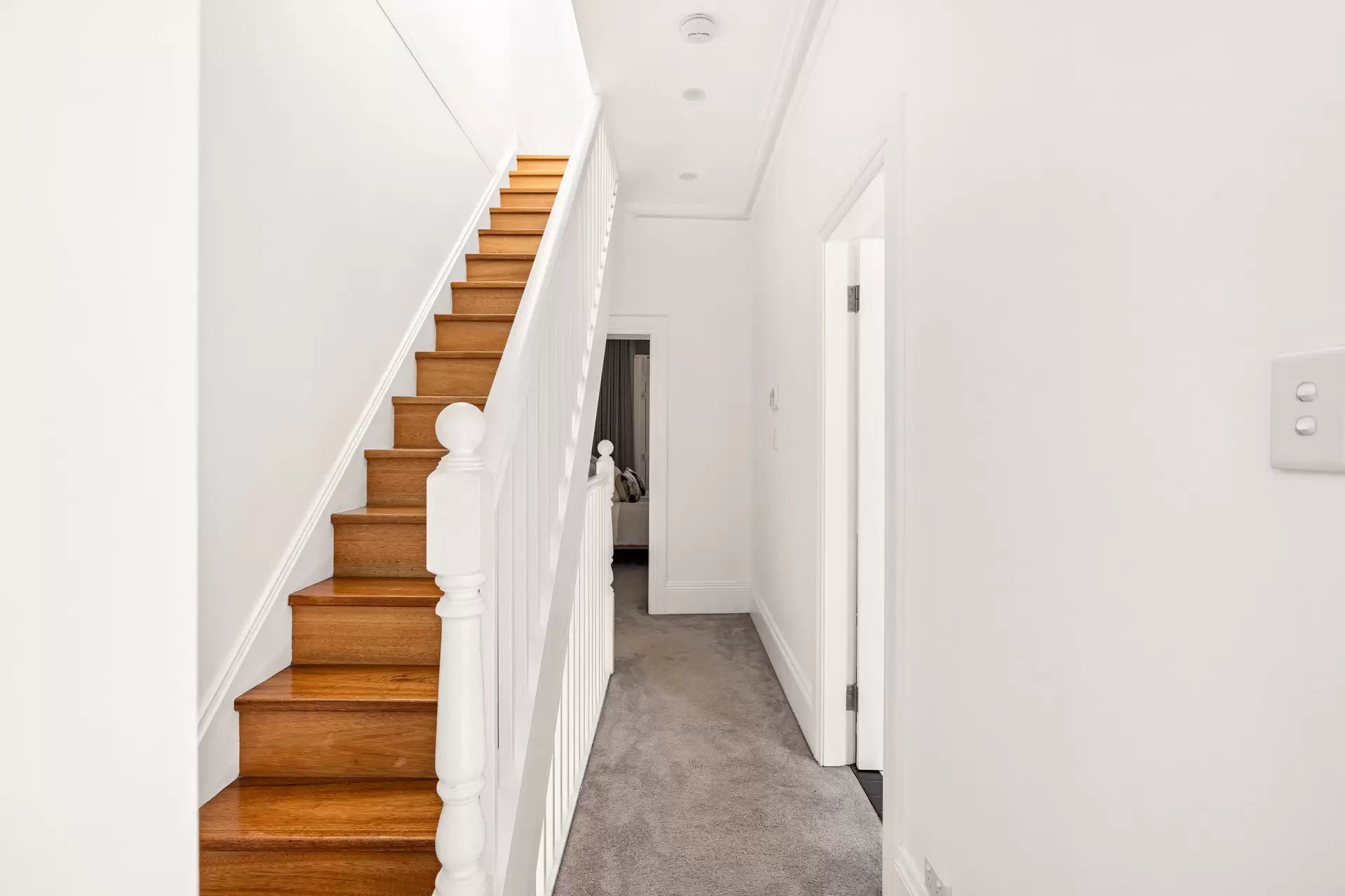 Surry Hills Leased by Shead Property - image 1