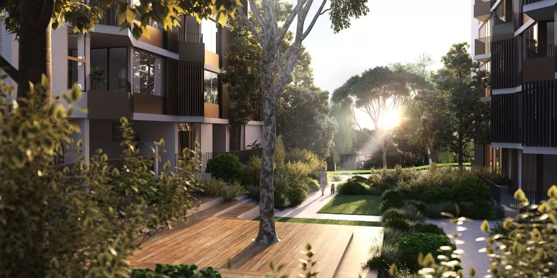 Lane Cove Leased by Shead Property - image 1