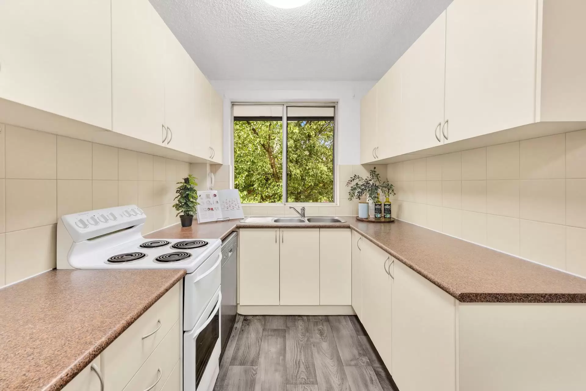 6/4 Buller Road, Artarmon Sold by Shead Property - image 1