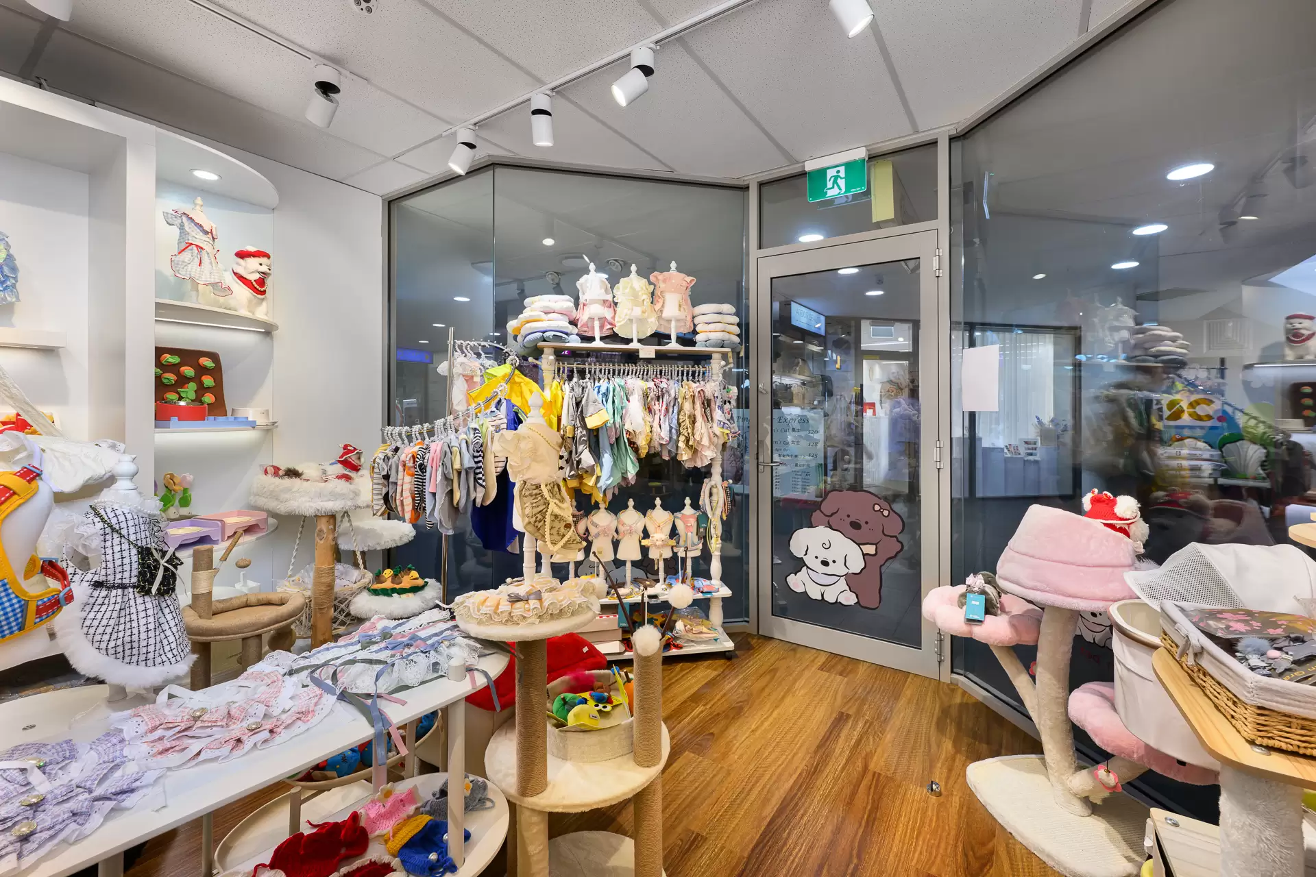 Chatswood Leased by Shead Property - image 1