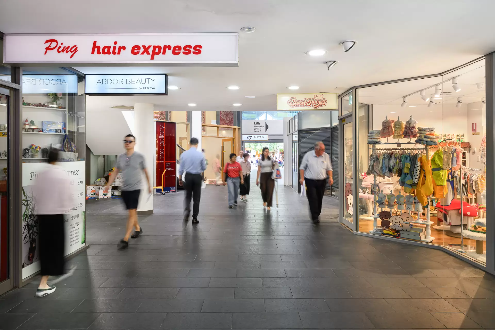 Chatswood Leased by Shead Property - image 1