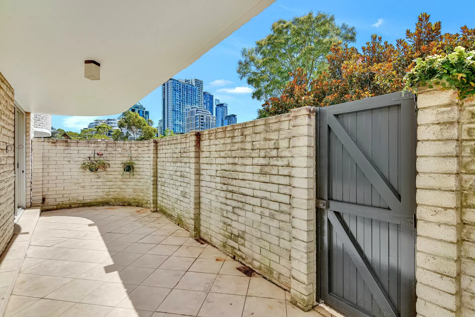 Chatswood Leased by Shead Property - image 1