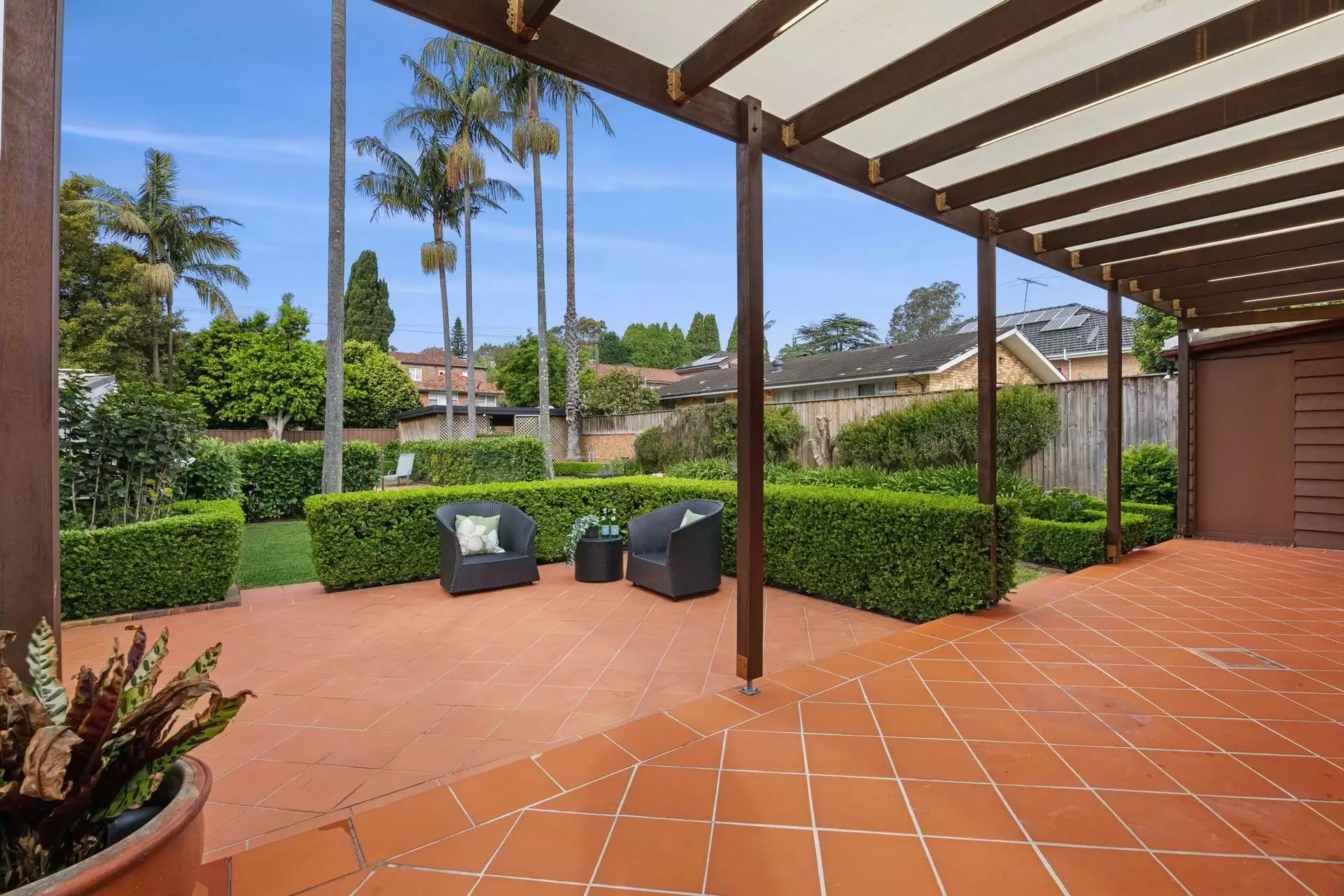 Chatswood Leased by Shead Property - image 1