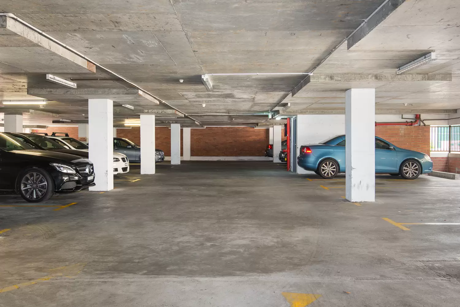 Suite 311/71-73 Archer Street, Chatswood For Lease by Shead Property - image 1