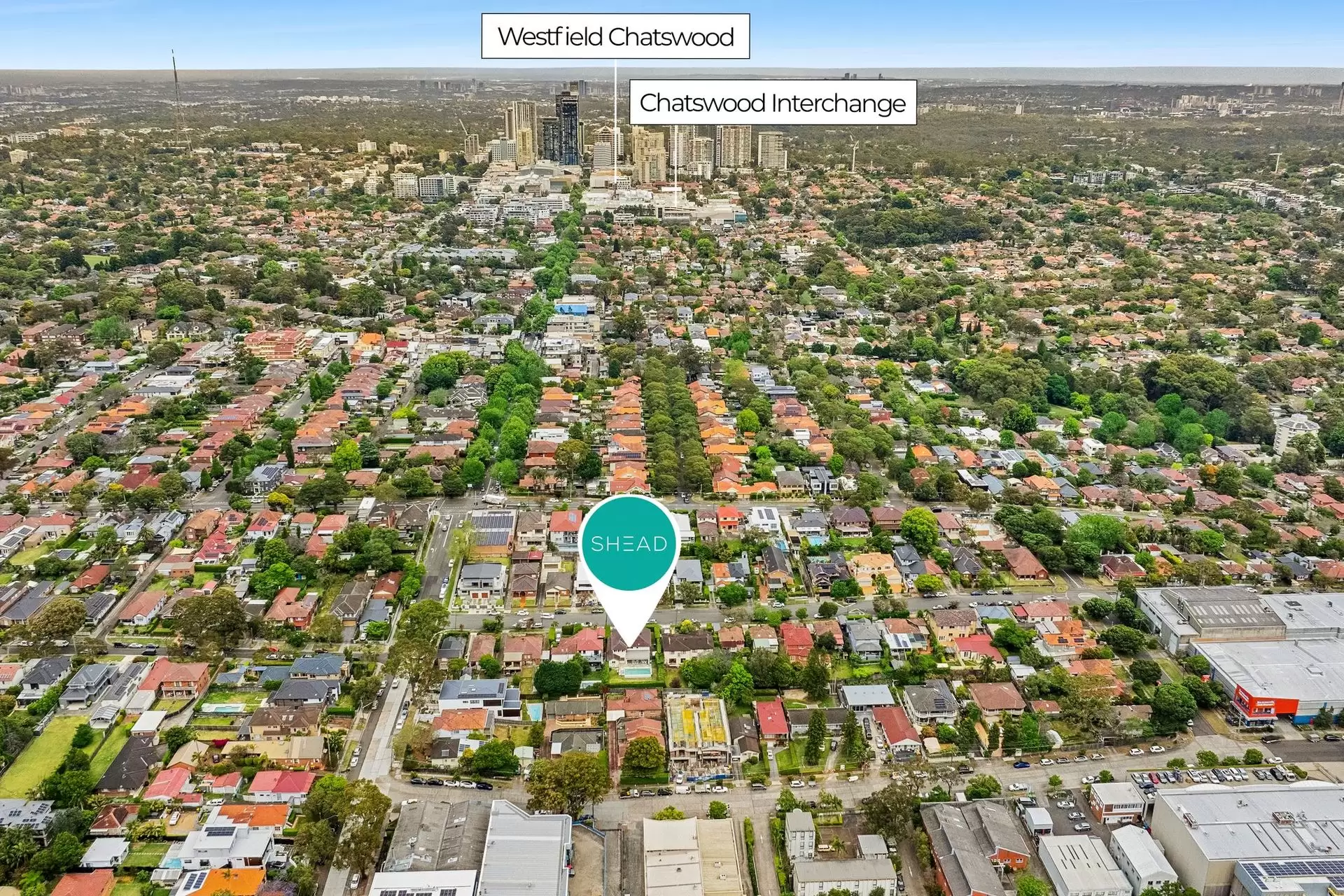 Chatswood Leased by Shead Property - image 1