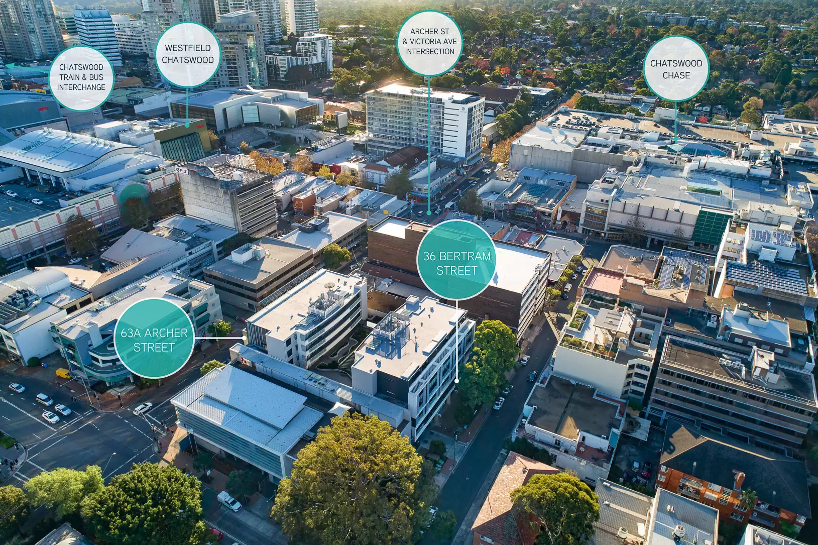 Suite 104/63a Archer Street, Chatswood For Lease by Shead Property - image 1