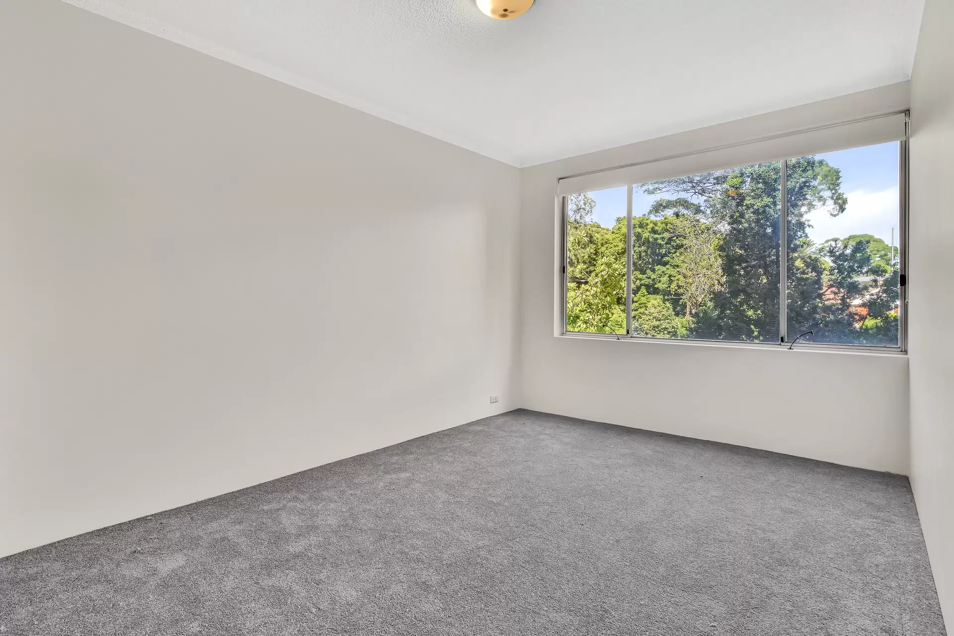 Chatswood Leased by Shead Property - image 1