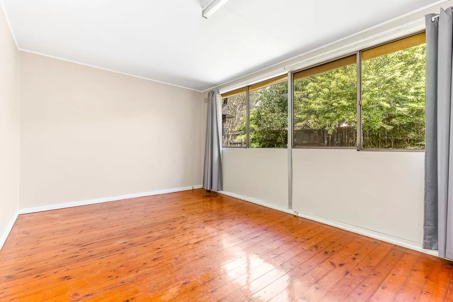 Chatswood Leased by Shead Property - image 1