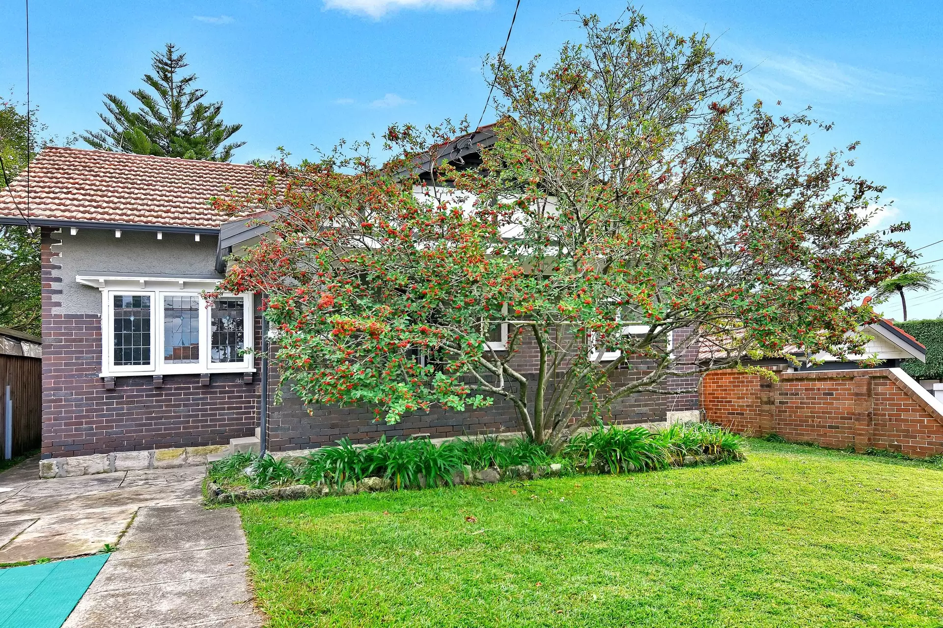 Willoughby Leased by Shead Property - image 1