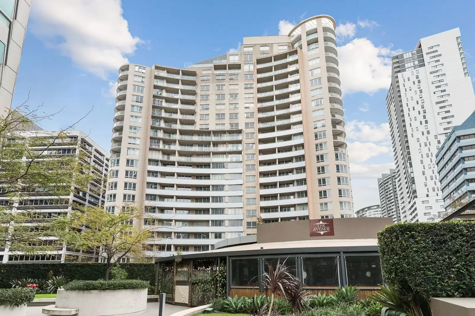 Chatswood Leased by Shead Property - image 1