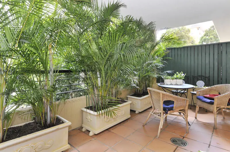 9/1 Eddy Road, Chatswood Sold by Shead Property - image 1