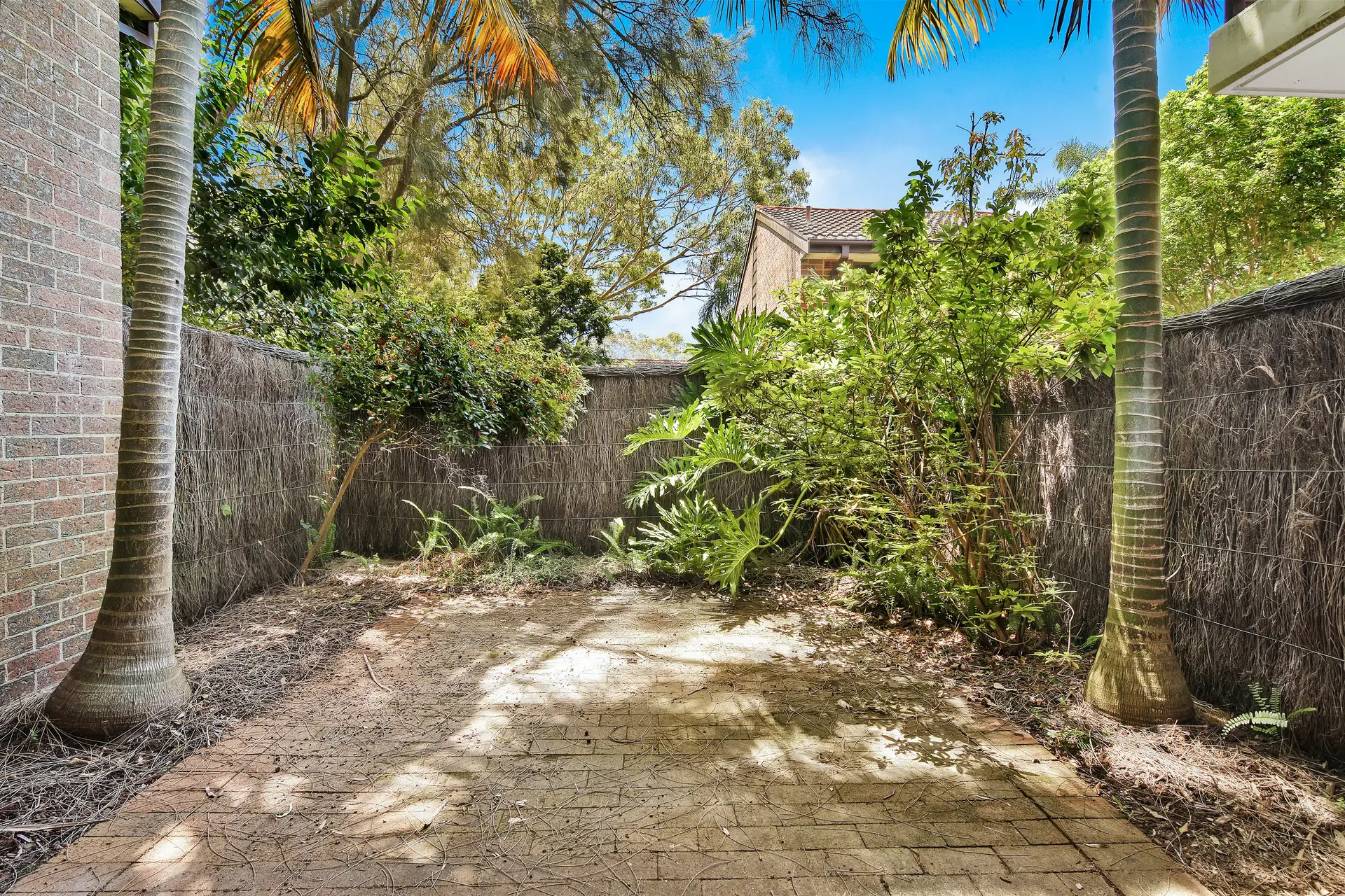 Artarmon Leased by Shead Property - image 1