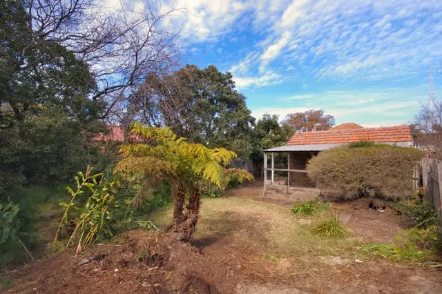 11 Penkivil Street, Willoughby Sold by Shead Property - image 1