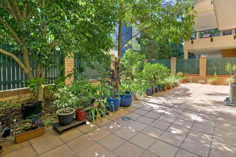6/1 Eddy Road, Chatswood Sold by Shead Property - image 1