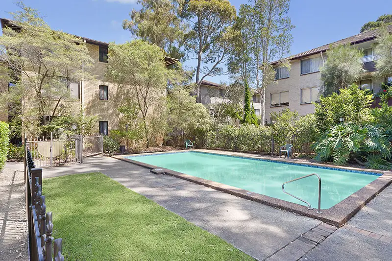 16/6 Buller Road, Artarmon Sold by Shead Property - image 1
