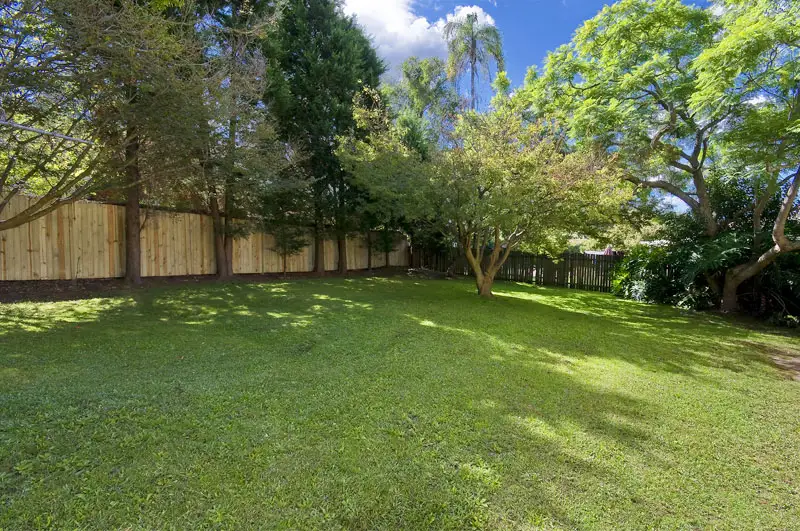 15 Boundary Street, Roseville Sold by Shead Property - image 1